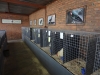 RENOSTERKOP 028 (Small)