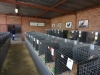 RENOSTERKOP 037 (Small)