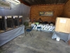 RENOSTERKOP 161 (Small)